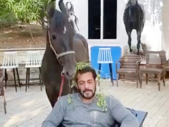 याशिवाय सलमान खानने पनवेल फार्म हाऊसमध्ये घोडेस्वारीसाठी बरीच जागा ठेवली आहे.