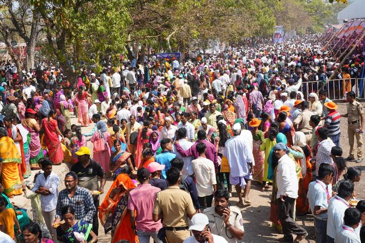 लोकोत्सव सुरु असतानाच काही गायींच्या झालेल्या संशयास्पद मृत्यूने गालबोटही लागले आहे.