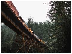 क्या रेलगाड़ी के पुल से गुजरने पर उसके नीचे खड़े व्यक्ति पर पॉटी गिर सकती है? जवाब है 'नहीं', कारण पढ़िए