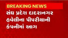 Dardanagar Haveli: દાદરાનગર હવેલીની સાઈરામ ઇન્ડસ્ટ્રી નામની કંપનીમાં લાગી આગ