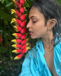 Amala Paul: 'மைனா மைனா நெஞ்சுக்குள்ள வம்பு பண்ணுற..’ அமலா பால் வெளியிட்ட புது புகைப்படங்கள்!