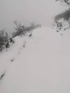 SANDAKPHU SNOWFALL : যতদূর চোখ যায় শুধুই বরফ... দুধ সাদা তুষারে ঢাকল সান্দাকফু, ফালুট, দেখুন ছবি