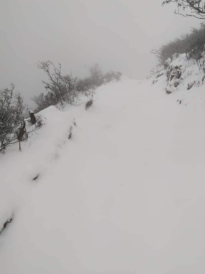 অনেকেই ছুটছেন সান্দাকফু, ফালুটে বরফ দেখতে। বসন্তের শুরুতে ভিড় জমছে দার্জিলিং কালিম্পংয়েও।