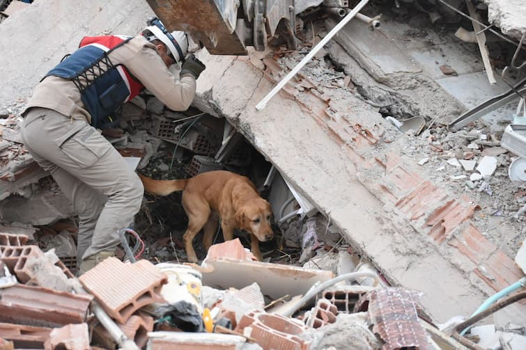 Turkey Earthquake Damages World Bank Estimates 34 Billion Dollar Around 2 Lakh 81 Thousand Crore Indian Rupees Turkiye Earthquake Caused Damage Worth $34 Billion, Says World Bank