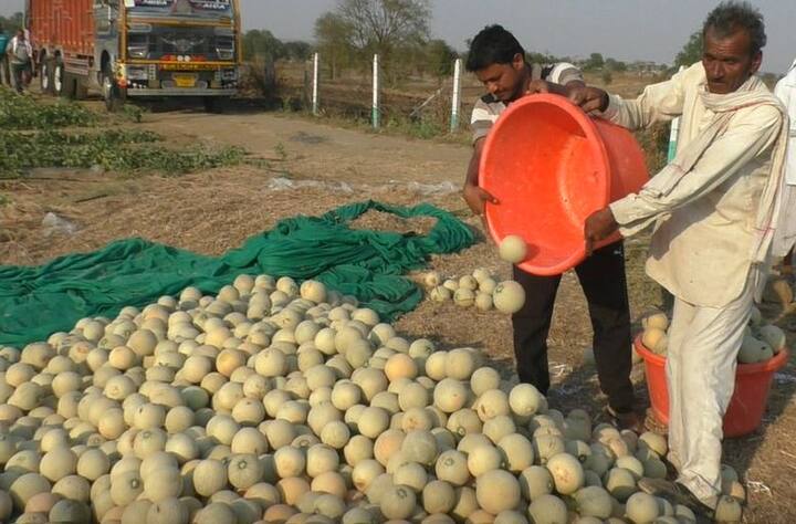 राधेश्याम मंत्री हे गेल्या अनेक वर्षांपासून संपूर्ण सेंद्रिय शेती करत आहेत. त्यासाठी त्यांना 2018 साली महाराष्ट्र सरकारचा सेंद्रिय शेती भूषण पुरस्कारही मिळाला आहे.