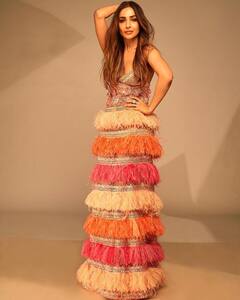 व्हाईट ड्रेसमध्ये 'छैय्या छैय्या गर्ल'चा बिनधास्त अंदाज; फोटो पाहून चाहते घायाळ