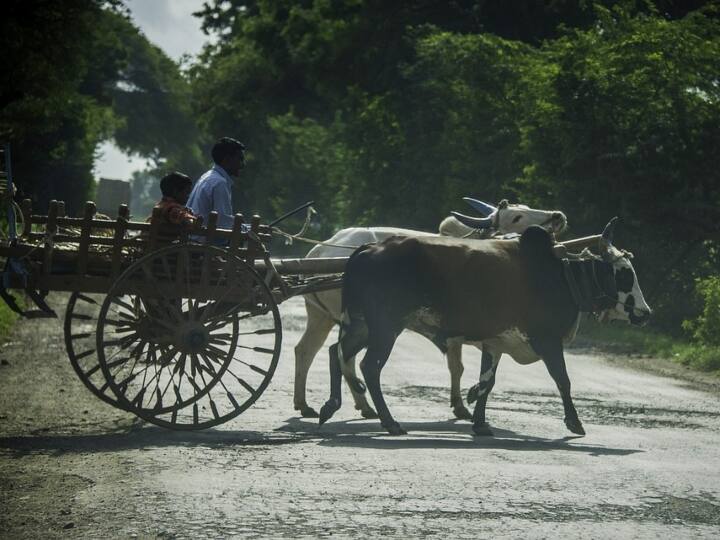 इससे आपको पता चल जाएगा कि आपके अकाउंट में पैसे आएंगे या फिर नहीं. (PC- Pixabay)