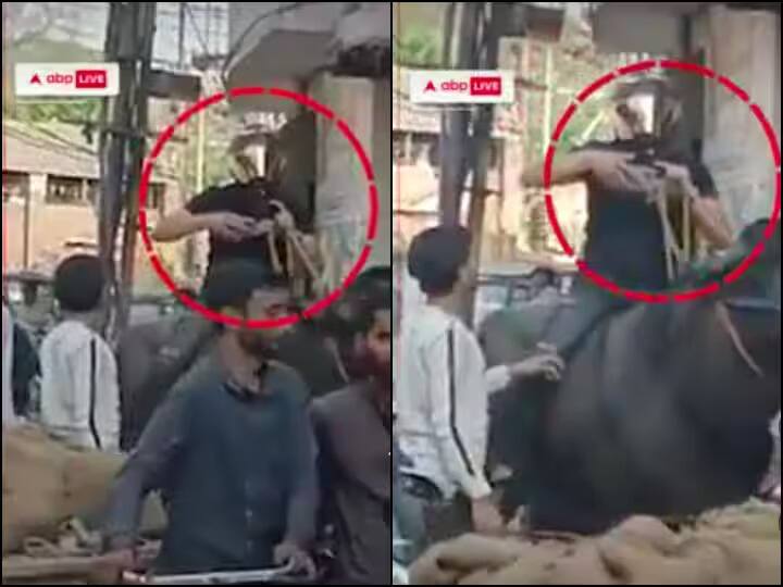 man riding buffalo wearing helmet funny viral video Viral Video: ਹੈਲਮੇਟ ਪਾ ਕੇ ਮੱਝ ਦੀ ਸਵਾਰੀ ਕਰ ਰਿਹਾ ਸੀ ਵਿਅਕਤੀ, ਵੀਡੀਓ ਦੇਖ ਤੁਸੀਂ ਵੀ ਕਹੋਗੇ- ਕਿਵੇਂ ਕਿਵੇਂ ਦੇ ਹਨ ਲੋਕ