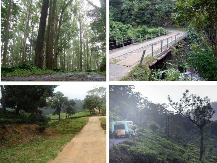 Manjolai Hills: கண்ணுக்கும் மனதுக்கும் உற்சாக அனுபவங்களை தரும் இயற்கையின் அழகுப் பெட்டகம் - நெல்லையில் அப்படி ஓர் இடம் எங்க இருக்குனு பார்க்கலாம்?