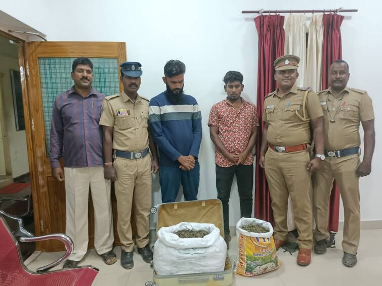 Crime: 18 kg ganja smuggled in a car seized in Panruti 3 people arrested TNN Crime: பண்ருட்டியில்  காரில் கடத்தப்பட்ட 18 கிலோ கஞ்சா  பறிமுதல் -  3 பேர் கைது