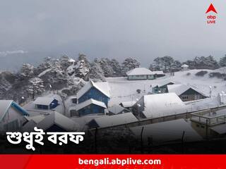 Sandakphu Snowfall: বরফাবৃত সান্দাকফু, বসন্তের শুরুতে নয়নাভিরাম দৃশ্যের সাক্ষী পর্যটকরা