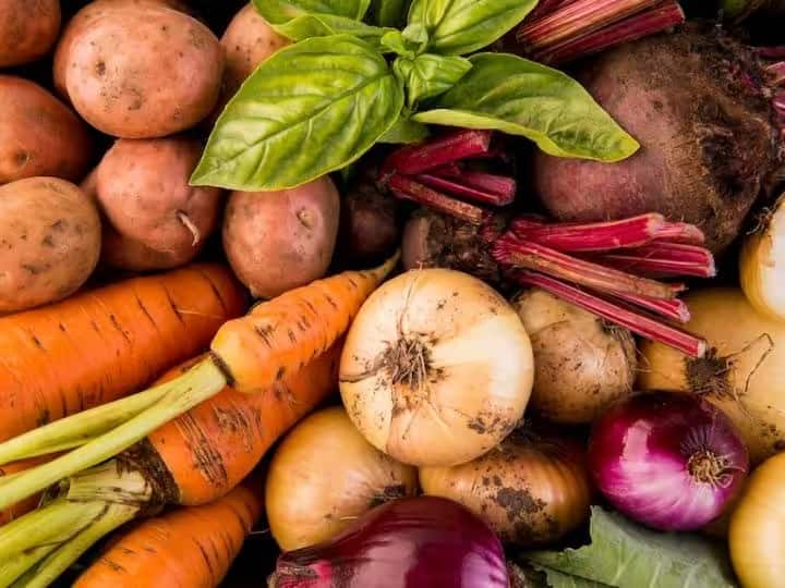 root vegetables health benefits know why you should eat root vegtables marathi news Health Tips : Root Vegetables खाल्ल्याने अनेक रोग होतात दूर; जाणून घ्या याचे 5 आश्चर्यकारक फायदे