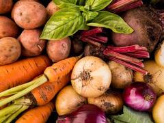 Root Vegetables खाल्ल्याने अनेक रोग होतात दूर; जाणून घ्या याचे 5 आश्चर्यकारक फायदे