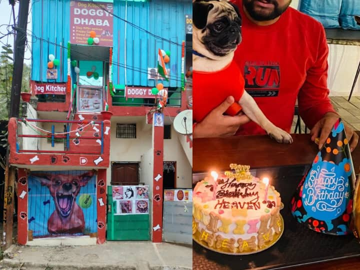 Indore Doggy Dhaba Indore couple opens dog cafe Doggy Dhaba at meghdoot offers food at 7 Rs indore latest news Indore Doggy Dhaba: इंदौर के कपल ने खोला अनोखा 'डॉगी ढाबा', बर्थडे पार्टी और एक्सरसाइज के लिए है खास सर्विस