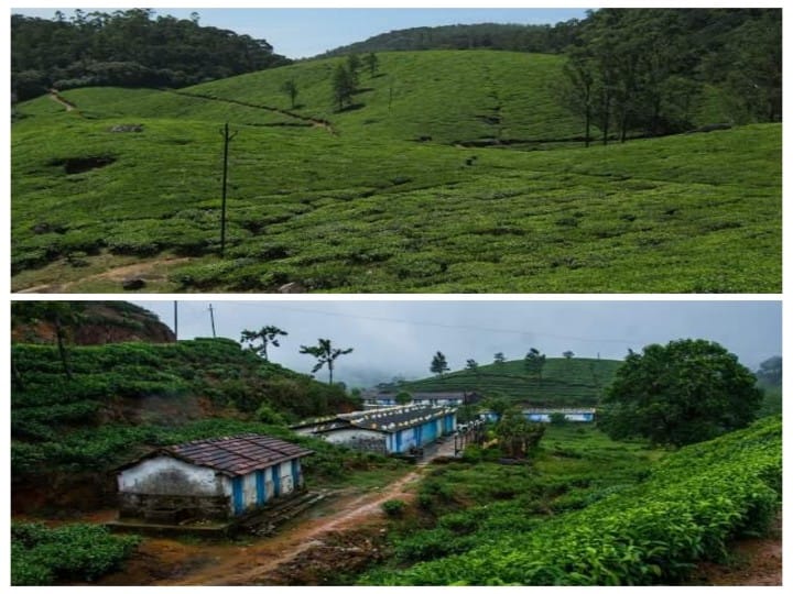 Manjolai Hills: கண்ணுக்கும் மனதுக்கும் உற்சாக அனுபவங்களை தரும் இயற்கையின் அழகுப் பெட்டகம் - நெல்லையில் அப்படி ஓர் இடம் எங்க இருக்குனு பார்க்கலாம்?