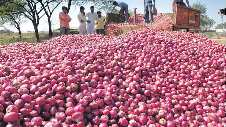 maharashtra nashik news Assurance of purchase from government, still no purchase of onion from Nafed Nashik onion Issue : कांद्यावरून फक्त राजकारण! शेतकऱ्यांना आश्वासनांचे गाजर, लासलगावमध्ये काय परिस्थिती? 