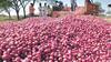 Nashik onion Issue : कांद्यावरून फक्त राजकारण! शेतकऱ्यांना आश्वासनांचे गाजर, लासलगावमध्ये काय परिस्थिती? 