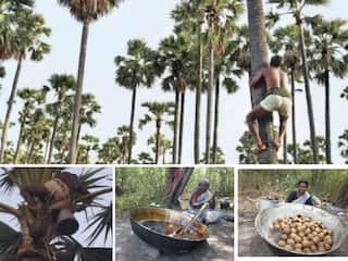சீசனே தொடங்கல... பணம் கேட்டும், கருப்பட்டி கேட்டும் மிரட்டும் காவல்துறை - விவசாய சங்கத் தலைவர் வேதனை