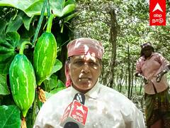 Kovakkaai Farming : ஒரு முறை பயிரிட்டால் போதும்.. 10 ஆண்டுகளுக்கு பலன்.. லாபம் தரும் கோவக்காய்..
