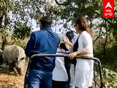 Rhino Attack : துரத்திய காண்டாமிருகம்.. பள்ளத்தில் கவிழ்ந்த ஜீப்.. Wildlife பரிதாபங்கள்