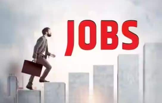 Jobs 2023: allahabad high court recruitment for clerk trainee posts for law candidates Jobs: લૉ પાસ કરેલા વિદ્યાર્થીઓ માટે બેસ્ટ મોકો, અહીં કોર્ટમાં નીકળી બમ્પર ભરતી, જાણો અરજી કરવાની ડિટેલ્સ....