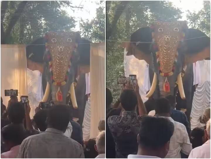 irinjadappilly sree Krishna temple in kerala now uses robotic elephants in worship rituals Viral Video: ਕੇਰਲ ਦੇ ਇਸ ਮੰਦਰ 'ਚ 'ਰੋਬੋਟਿਕ ਹਾਥੀ' ਕਰਨਗੇ ਪੂਜਾ, ਲੋਕਾਂ ਨੂੰ ਪਸੰਦ ਆ ਰਿਹਾ ਹੈ ਇਹ ਆਈਡੀਆ