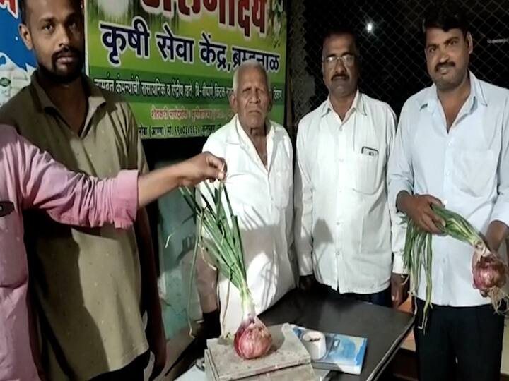 त्यांनी घेतलेल्या कांद्याच्या पीकात एक कांदा तब्बल पाऊण किलो वजनाचा आहे. हा कांदा पाहण्यासाठी शिरगावे यांच्या शेतात शेतकऱ्यांची गर्दी होत आहे. शेतात कांदा पाहण्यासाठी आलेले लोक कांद्याला पाहून हा कांदा आहे की कांदोबा असे आपसूक बोलत आहेत.