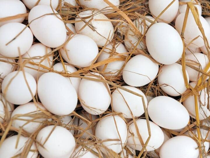 Sri Lanka to import 2 million eggs from India during protest Eggs Import From India: भारत से एक हफ्ते में 20 लाख अंडों का आयात करेगा ये देश, पर क्यों हो रहा विरोध?