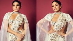 Bhumi Pednekar: ਭੂਮੀ ਪੇਡਨੇਕਰ ਨੇ ਚਿੱਟੀ ਸਾੜ੍ਹੀ ਪਾ ਕੇ ਦਿਖਾਈ ਆਪਣੀ ਕਮਰ, ਮਨਮੋਹਕ ਦਿੱਖ ਅਤੇ ਪੱਲੂ ਹਿਲਾ ਕੇ ਲੋਕਾਂ ਨੂੰ ਕੀਤਾ ਜ਼ਖਮੀ