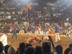 Sikandar Shaikh :  जो जीता वही 'सिकंदर'! सांगलीच्या मैदानात सिकंदरची एका मिनिटात बाजी