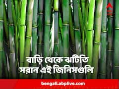 ঘরে এই জিনিসগুলি অবিলম্বে সরিয়ে ফেলুন, নইলে অচিরেই দুয়ারে আসবে দুর্ভাগ্য