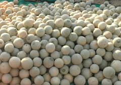 Washim  : वाशिमचे खरबूज काश्मीरला, 82 दिवसात लाखोंचा नफा