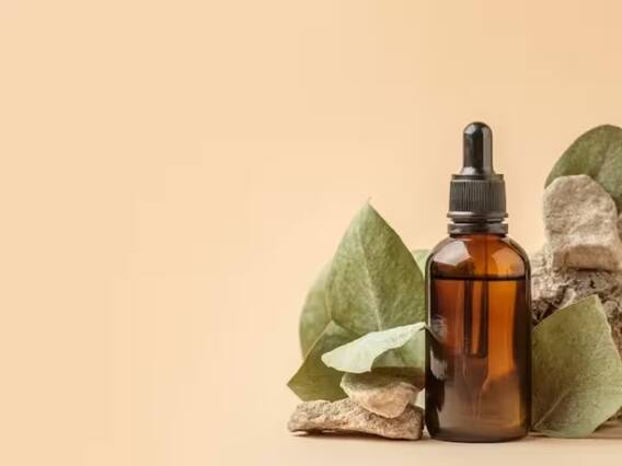 Patchouli oil: This Ayurvedic oil is the beauty secret of celebs, know its amazing benefits Patchouli oil: This Ayurvedic oil is the beauty secret of celebs, know its amazing benefits