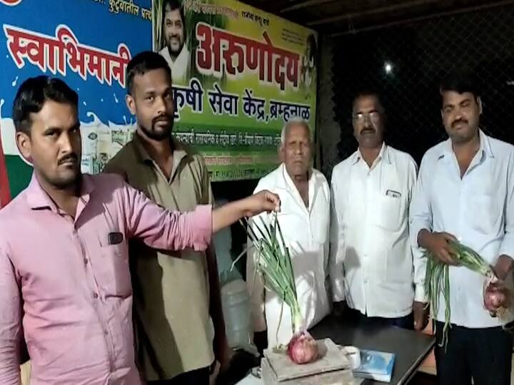 कांद्याला कवडीमोल दर मिळत असतानाच सांगलीतील (Heavy Wait Onion in Sangli) एका कांदा उत्पादक शेतकऱ्याची मात्र चांगलीच चर्चा रंगली आहे. पलूस तालुक्यातील ब्रम्हनाळमधील हनुमंत शिरगावे या शेतकऱ्याने आपल्या शेतामध्ये कांद्याचे उत्पादन घेतले आहे.