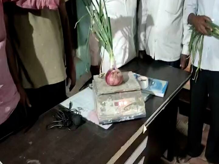 त्यामुळे राज्यात सध्या गडगडलेल्या दरामुळे कांदा चांगला चर्चेत आला आहे. त्याच बाजूला सांगलीच्या या कांदा उत्पादक शेतकऱ्याचे मात्र कौतुक होत आहे. कारण कांदा उत्पादक शेतकऱ्याने कांद्यामध्ये भरघोस उत्पादन घेतले आहे.