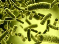 Cholera Outbreak: உலகுக்கே ஒரு அலர்ட்.. மீண்டும் தலைதூக்கும் காலரா நோய்த்தொற்று.. நிதியுதவி கேட்கும் உலக சுகாதார நிறுவனம்..