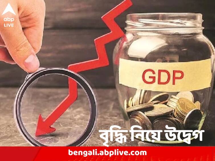 GDP Growth Rate Slows For Second Quarter, Q3 Growth At 4.4% Indian economy latest news GDP Growth Rate: বৃদ্ধির গতি শ্লথই, তৃতীয় ত্রৈমাসিকে ৪.৪ শতাংশ, পূর্বাভাসের চেয়েও কম