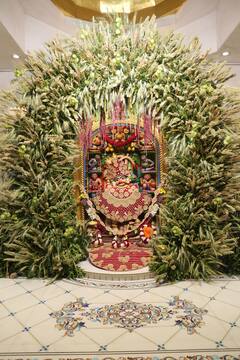 Salangpur Hanuman: સાળંગપુરમાં કષ્ટભંજન દેવને જંઉ-દાળાનો કરાયો દિવ્ય શણગાર, જુઓ તસવીરો