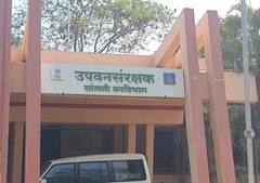 शिराळा येथील वनक्षेत्रपाल सचिन जाधव निलंबित, कामात वरिष्ठांची फसवणूक केल्याचा ठपका