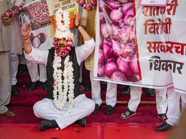 The wholesale price of onions, which had been steadily declining across the state, dropped from $4 to $2 per kg yesterday, infuriating farmers.  Onion growers have asked an immediate payout of $1,500 per quintal of onions, as well as that the government purchase their produce at a price of 15-20 per kg. Otherwise, they would not allow the sale to resume at the mandi, PTI reported.  (Image Source: PTI)