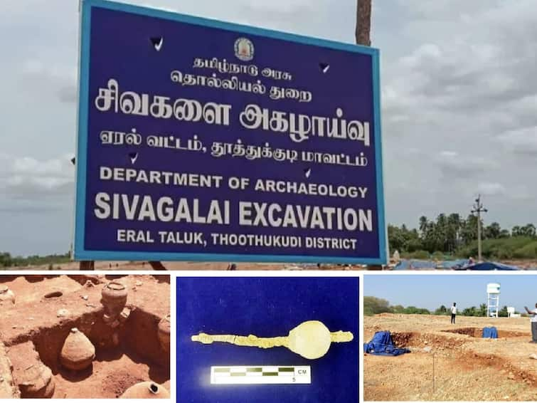 Thoothukudi: 23 lakh allocation for the first phase of setting up an open air museum at Shivagalai Start of work TNN சிவகளையில் திறந்தவெளி அருங்காட்சியகம் - விரைவில் அதிகாரப்பூர்வ அறிவிப்பு..?