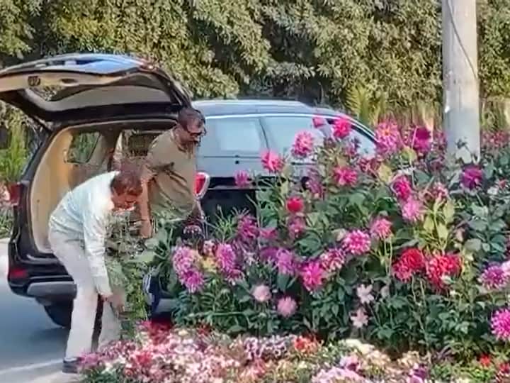 Video Of Men Taking Flower Pots From G20 Event Venue Goes Viral, Authorities Take Note: Watch Video Of Men Taking Flower Pots From G20 Event Venue Goes Viral, Authorities Take Note: Watch