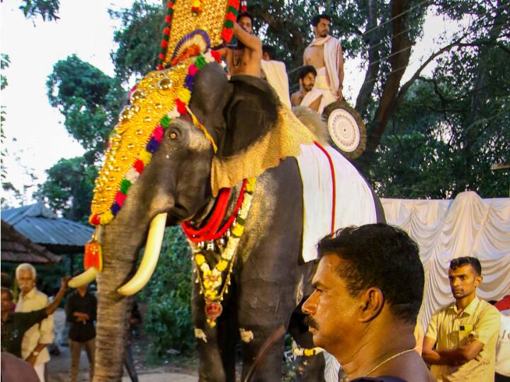 Kerala Temple deploys very big Mechanical Elephant for performing rituals Mechanical Elephant: केरल के मंदिर में पूजा के लिए तैनात किया गया 'रोबोट हाथी', देखें वीडियो