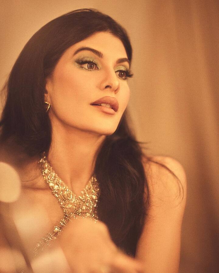 जॅकलिनच्या या लूकनं अनेकांचे लक्ष वेधले. (Jacqueline Fernandez/Instagram)