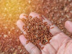 डायबिटीज कम करने की सारी कोशिश हो गई है नाकाम, ये राइस टी एक बार पी कर देखें