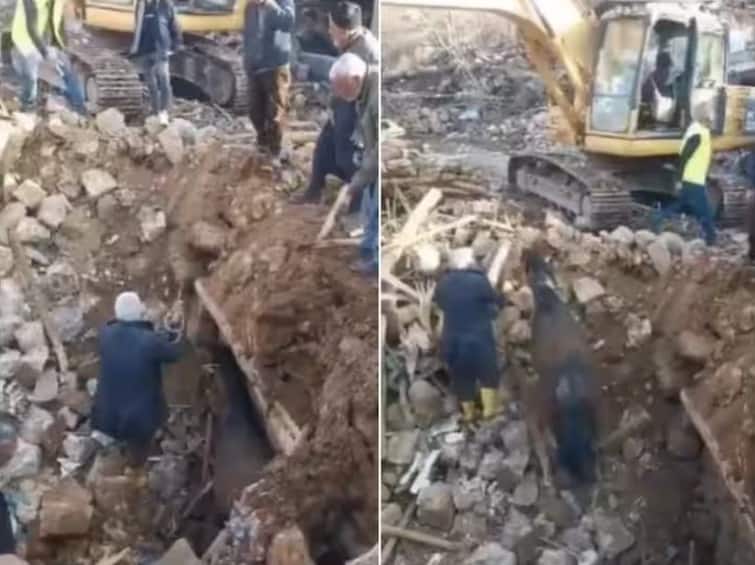 horse rescued alive from rubble 21 days after turkey earthquake Viral Video: ਤੁਰਕੀ 'ਚ 21 ਦਿਨਾਂ ਬਾਅਦ ਮਲਬੇ 'ਚੋਂ ਜ਼ਿੰਦਾ ਨਿਕਲਿਆ ਘੋੜਾ, ਤੁਸੀਂ ਵੀ ਦੇਖੋ ਇਹ ਹੈਰਾਨ ਕਰਨ ਵਾਲੀ ਵੀਡੀਓ