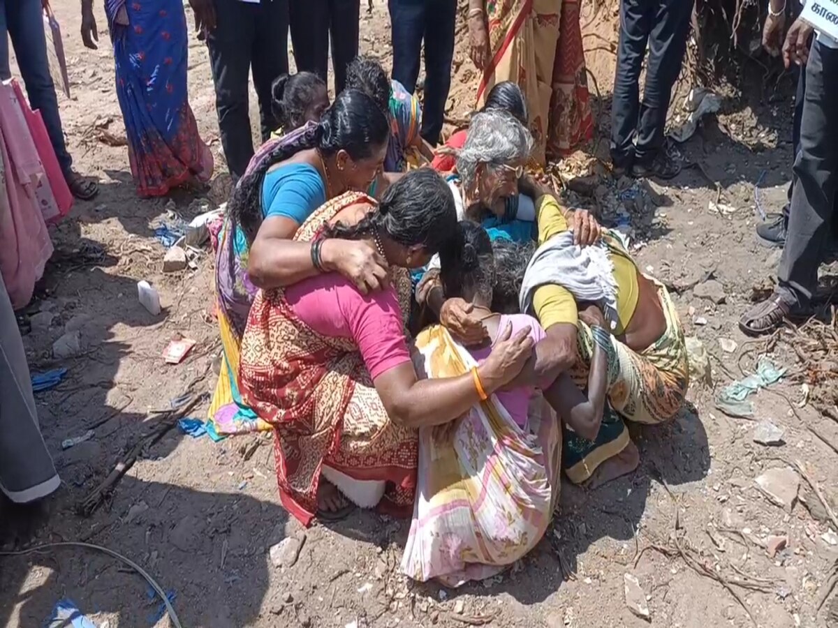 Chengalpattu Banyan Tree : வெட்டப்பட்ட ஆலமரம்.. கதறி அழுது ஒப்பாரி வைத்த பெண்கள்.. கண்டனம் தெரிவித்த அன்புமணி..