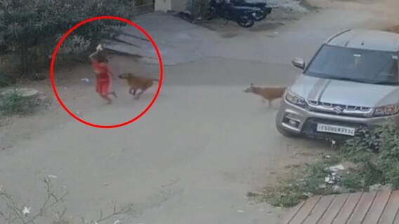 Hyderabad Dog Attack | CCTV Visuals: Nacharam లో మరో కుక్క దాడి, బాలుడు సేఫ్
