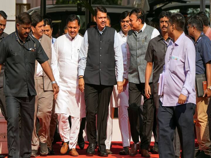 According to Devendra Fadnavis, the Maharashtra government is doing all possible to help onion farmers by purchasing their produce.  (Image Source: PTI)
