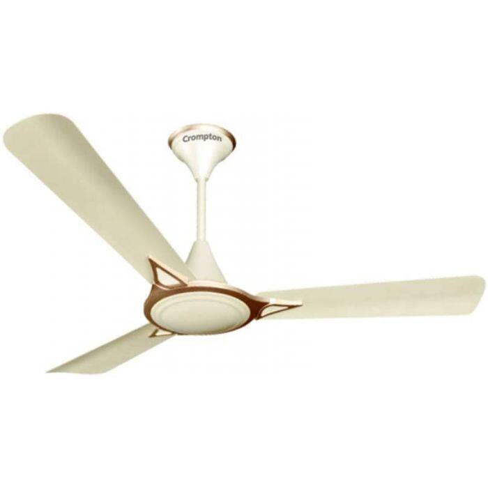 आपने देखा होगा कि आपके घर में लगे सीलिंग फैन की ब्लेड थोड़ी सी मुड़ी होती हैं. आमतौर पर कंपनियां किसी छत के पंखे के ब्लेड्स का एंगल 7 से 10 डिग्री के बीच रखती हैं. कई लोगों को ऐसा लगता है कि अगर ब्लेड्स ज्यादा मुड़े होंगे तो हवा ज्यादा तेज आयेगी.